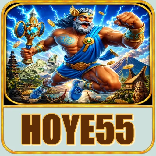 Troubleshooting hoye55